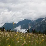 Σαλέ Alpen Retreat