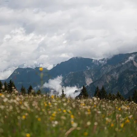 Chalet Alpen Retreat