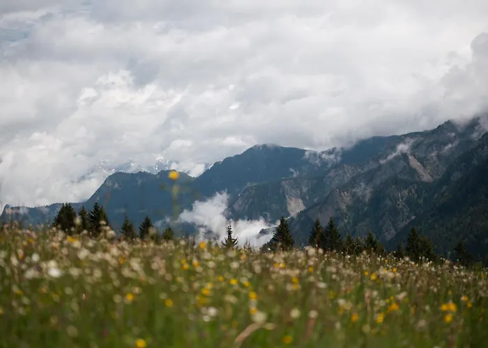 Chalet Alpen Retreat